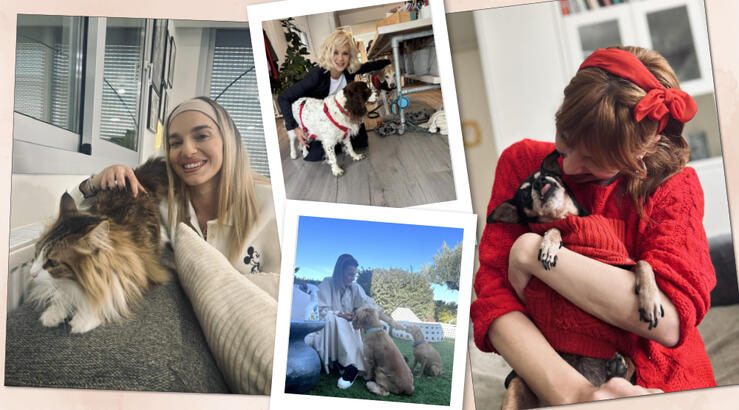 Ημέρα Αδέσποτων Ζώων: Τα μηνύματα γνωστών Κυπρίων για τη σπουδαιότητα της υιοθεσίας