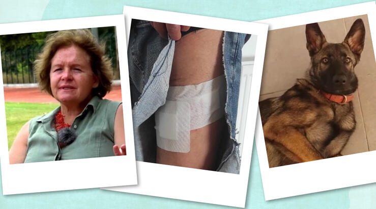 Συγκλονίζουν τα λόγια του 72χρονου που του επιτέθηκε ο σκύλος της οικογένειας Τσιτσιπά [βίντεο]