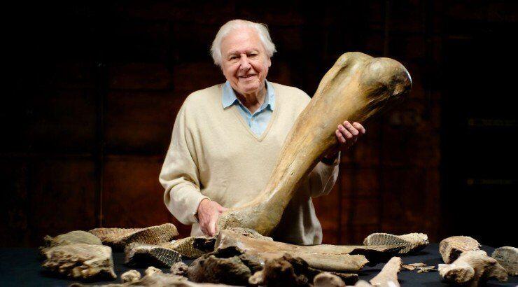 Η Nova Cyprus εμπλουτίζει περαιτέρω το πλούσιο περιεχόμενό της