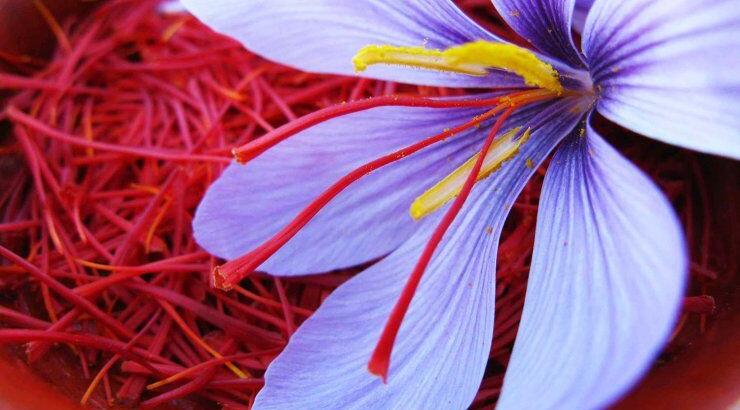 Σαφράν: Ο θησαυρός της φύσης 
