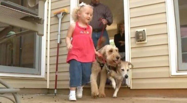 Ο σκύλος – σύντροφος ενός 3χρονου κοριτσιού! [βίντεο]