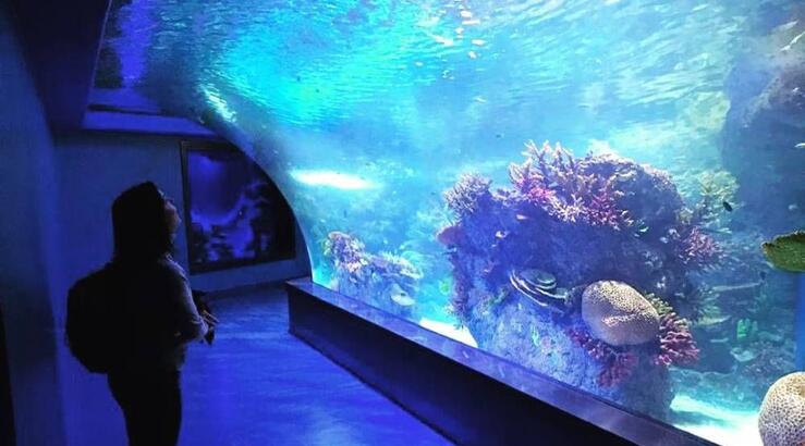 Χωρισμός “βόμβα” για πασίγνωστη Ελληνίδα ηθοποιό μετά από 8 χρόνου γάμου 