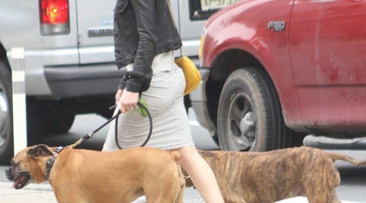 Μετά τις Κάννες, βόλτα με τα σκυλιά της. Ποια είναι; 