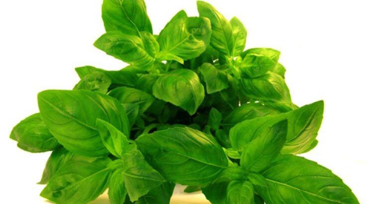 Τα βότανα … μας αφαιρούν κιλά 