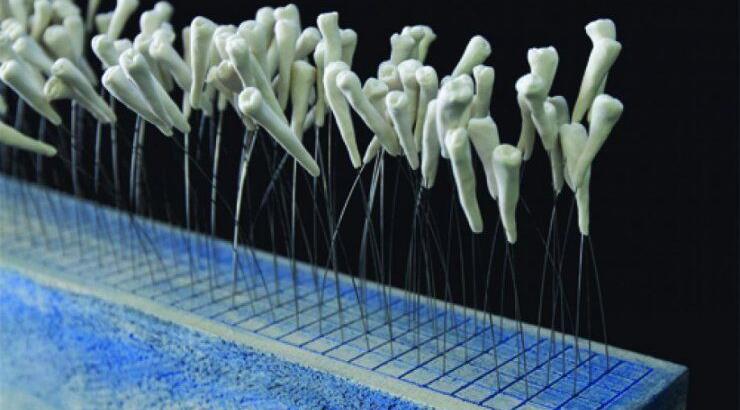 "Ένας σάκος πηλό"