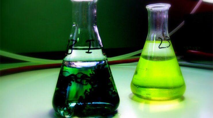 Πρώτος θάνατος στις ελεύθερες περιοχές απο ιό γρίπης χοίρων