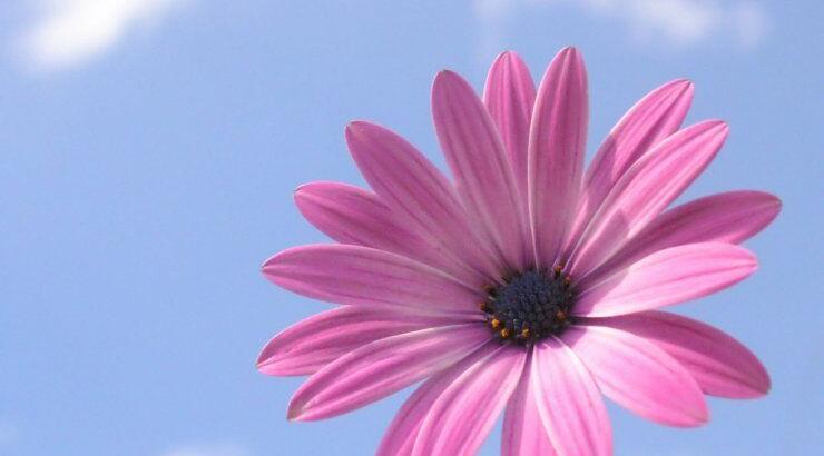 Ο Άνθρωπος Πάνω Από Όλα Και Όχι Η Αρρώστια 