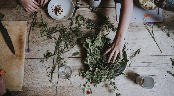 Όλα όσα θέλεις να γνωρίζεις για τα βότανα του χειμώνα [βίντεο]