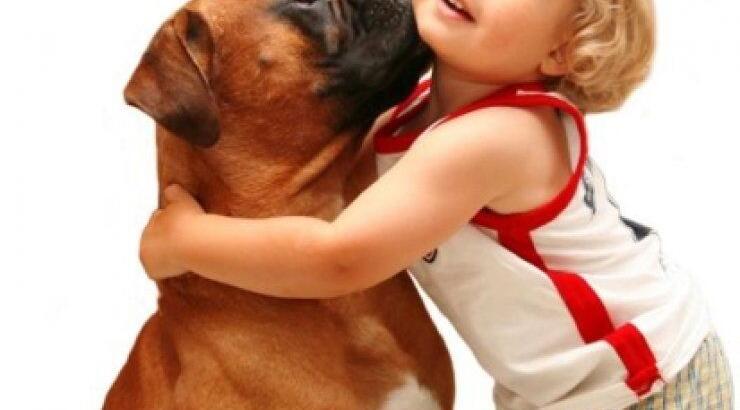  Αυτό δεν το έχετε ξαναδεί. Μωρό μαλώνει ένα... μπουλντόγκ! (βίντεο)