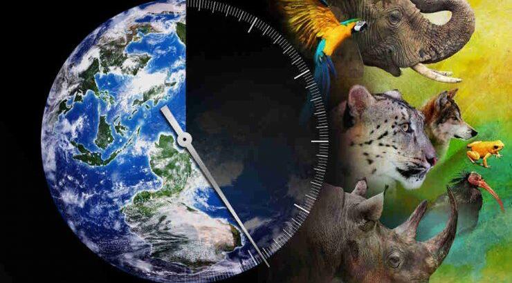 22 Απριλίου, Παγκόσμια Ημέρα της Γης: Η Nova Cyprus συμμετέχει στο Earth Day Festival με ειδικό πλούσιο πρόγραμμα στον εορτασμό για τα 50 χρόνια!