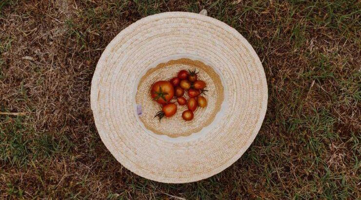 Η μεγάλη διατροφική αξία της ντομάτας