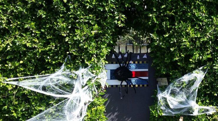 Ποιας διάσημης ηθοποιού γέμισε το σπίτι αράχνες; [εικόνες]