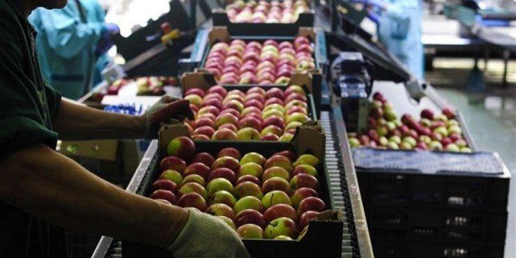 Ρωσία: Πιθανή εξαίρεση Ελλάδας–Κύπρου από εμπάργκο κατά ΕΕ