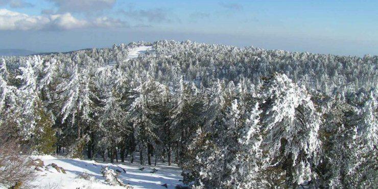Κλειστοί οι δρόμοι που οδηγούν στο Τρόοδος 