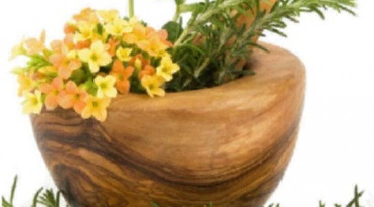 Ποια είναι τα 10 βότανα που γιατρεύουν