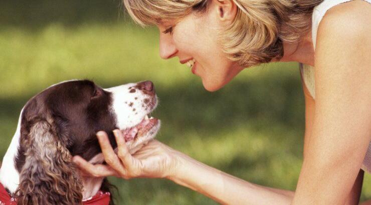 Πώς βλέπουν οι σκύλοι τα αφεντικά τους και γιατί αρνούνται να τα εγκαταλείψουν;