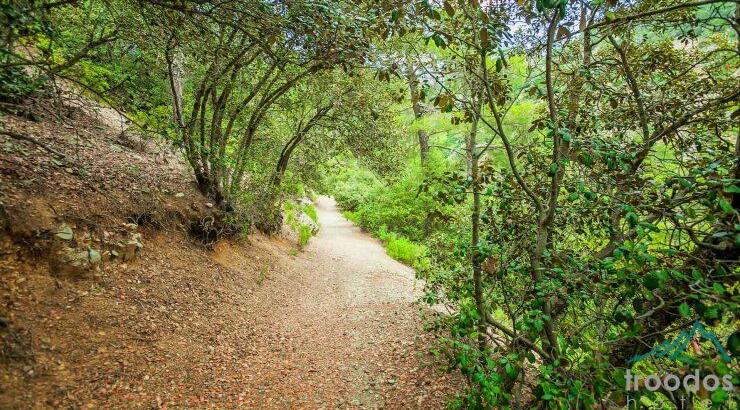 Το Εθνικό Δασικό Πάρκο Τροόδους μέσα απο τα μάτια ενός drone [Bϊντεο]