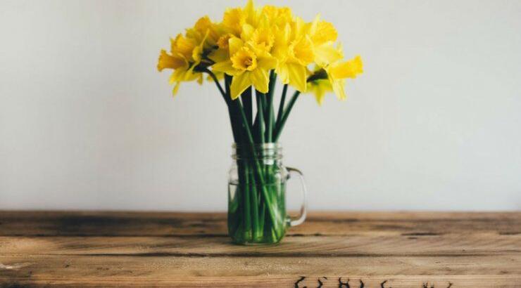 Τι προβλέπουν τα ζώδια για τη Δευτέρα 2 Μαρτίου 2020;