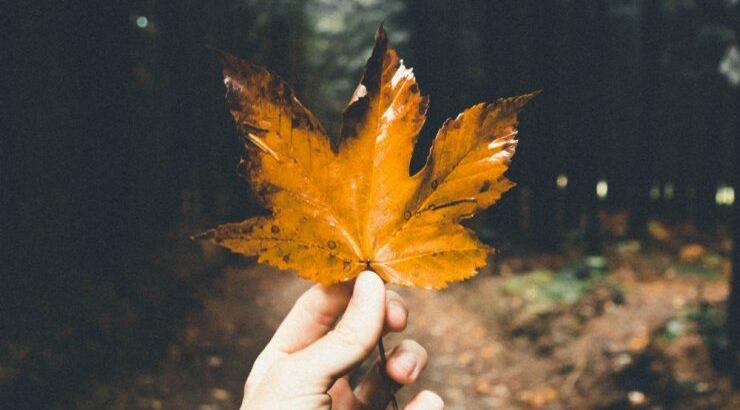 Τι θα φέρει ο μήνας Οκτώβριος για όλα τα ζώδια!