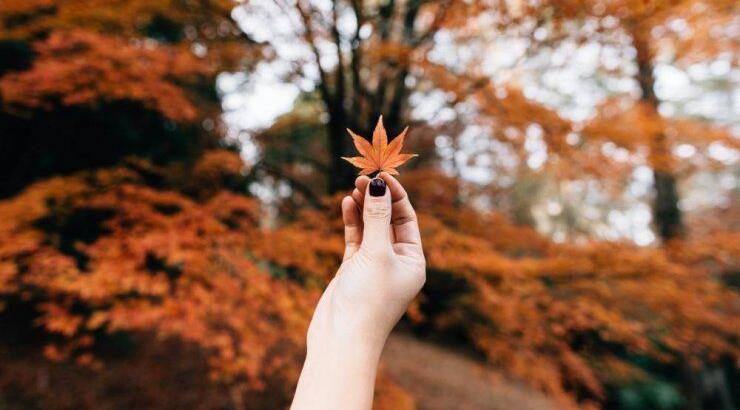 Μηνιαίες αστρολογικές προβλέψεις για τον Σεπτέμβριο 2023