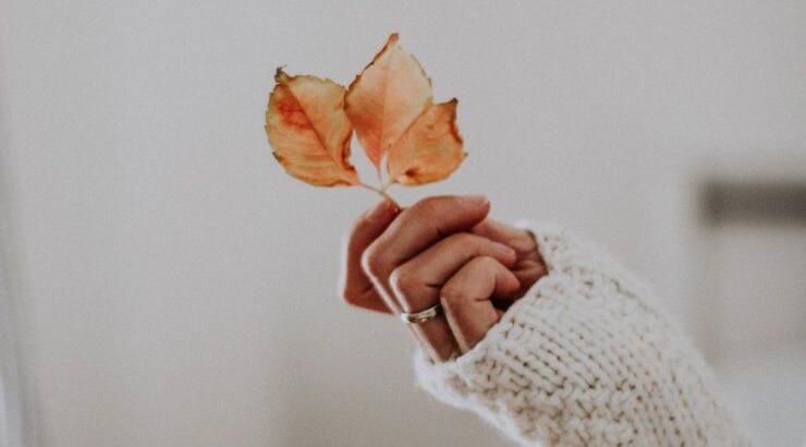 Τι θα φέρει ο μήνας Σεπτέμβριος για όλα τα ζώδια;