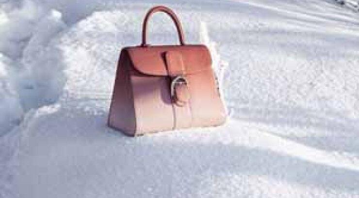 Γιατί όλες θέλουν να κρατάνε μια Delvaux Bag; 