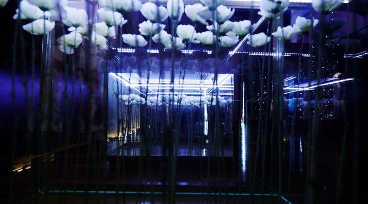 Forever Now Exhibition: Στο Σάο Πάολο