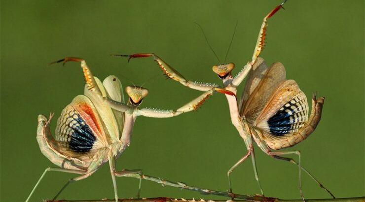 Η Shortlist των Διεθνών Βραβείων Φωτογραφίας 2014