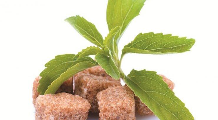 Στέβια: Το ασφαλές γλυκαντικό με πολύ λίγες θερμίδες