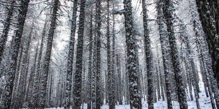 Καιρός: Βροχές, χιόνια και μικρή άνοδος της θερμοκρασία 
