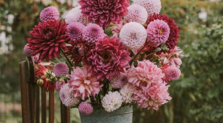 Τι προβλέπουν τα ζώδια για την Πέμπτη 19 Σεπτεμβρίου 2019;