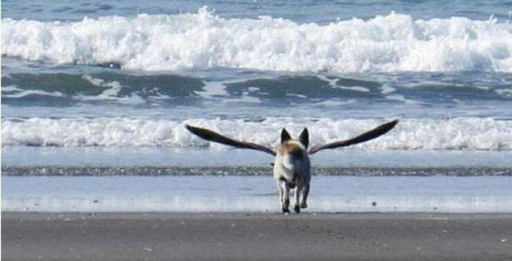 Η φωτογραφία που σαρώνει στο διαδίκτυο