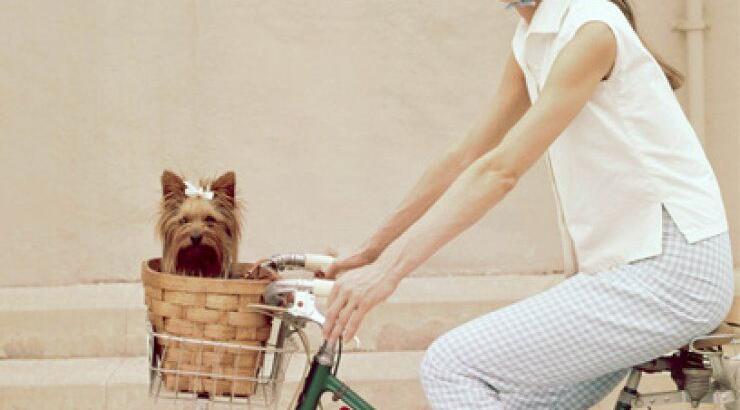 Ποδήλατο: ένα παλιό - νέο μέσο μεταφοράς