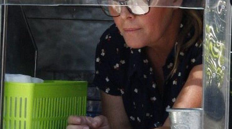 Απίστευτο! Ποια διάσημη και κουκλάρα ηθοποιός τα έχασε όλα και πουλάει παγωτά;