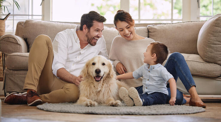 Το κατοικίδιό σου (όπως και το παιδί σου) αξίζει την καλύτερη φροντίδα — και τώρα μπορείς να του την εξασφαλίσεις!