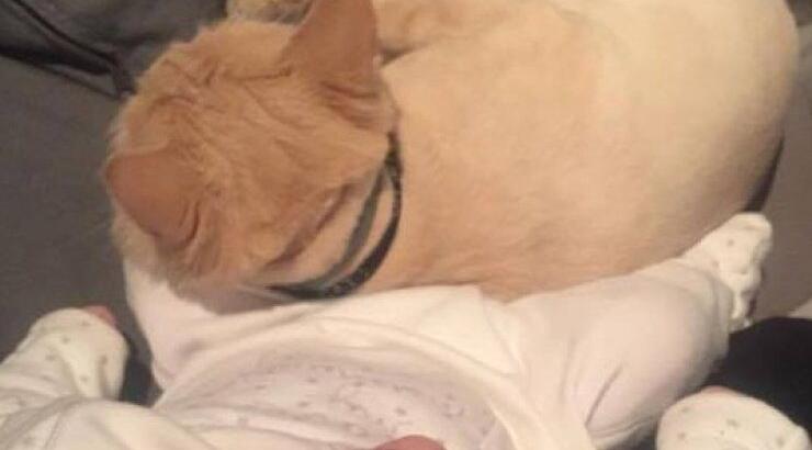 Η πιο τρυφερή φωτογραφία του σχεδόν δύο μηνών γιου Κύπριας socialite!