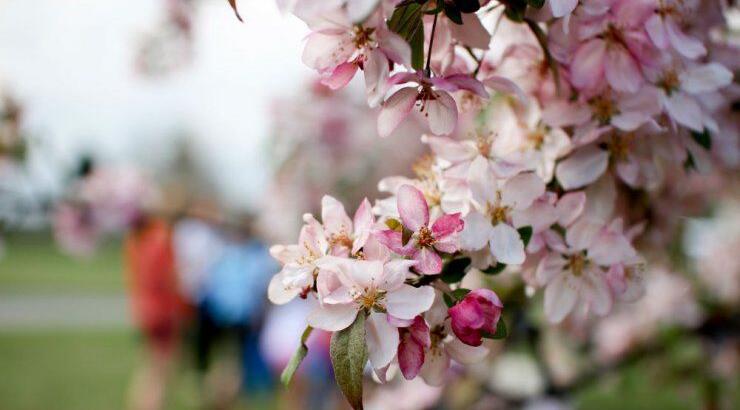 Τι προβλέπουν τα ζώδια για την Τετάρτη 1 Μαϊου 2019;
