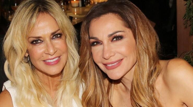 Δέσποινα Βανδή: Αποκαλύπτει τι ήθελε να ζητήσει από την Άννα Βίσση και δεν το κατάφερε