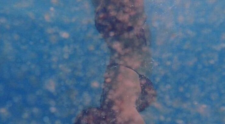 Οι υποβρύχιες βουτιές Κύπριας socialite!