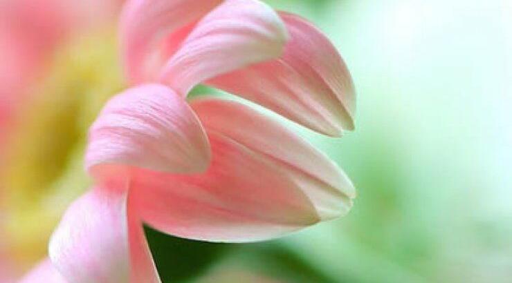 Ανοιξιάτικες αλλεργίες: 8 τρόποι να διώξεις τα συμπτώματα!