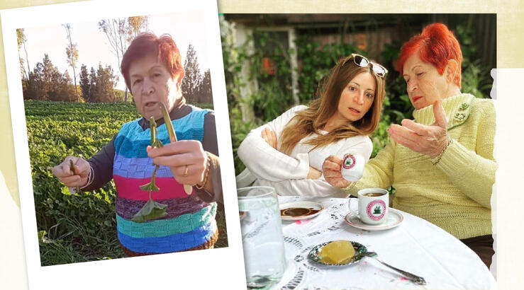 Χριστιάνα Αρτεμίου: Στα χωράφια της Αθηένου με τη μητέρα της μάζεψαν μολόχες [βίντεο]