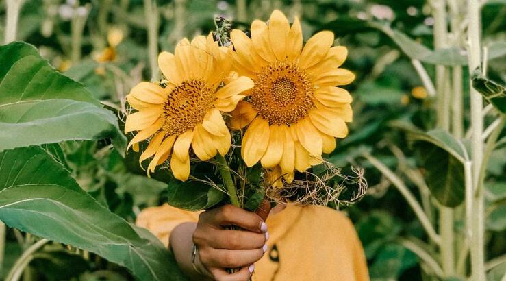 Αστρολογικές προβλέψεις για την Πέμπτη 18 Ιουλίου 2024