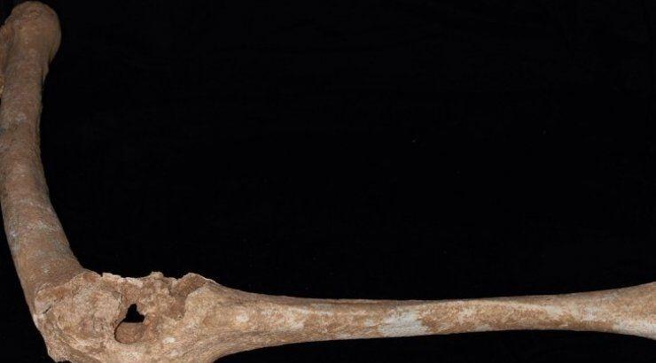 Σημαντικές αποκαλύψεις για Φίλιππο Β’ και Μέγα Αλέξανδρο 