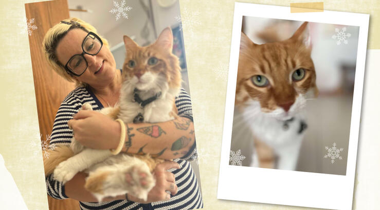 Στέφανη Παναγή: Μας συστήνει τον γάτο της που υιοθέτησε από τον Νικόλα Ιωαννίδη [βίντεο]