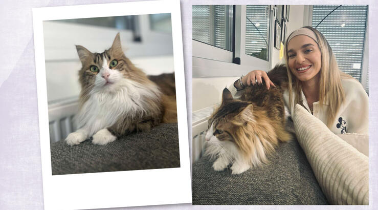 Η δράση της Μαρίας Πορφυρίου για τα αδέσποτα γατάκια είναι η ιστορία που αξίζει να ακούσεις σήμερα  