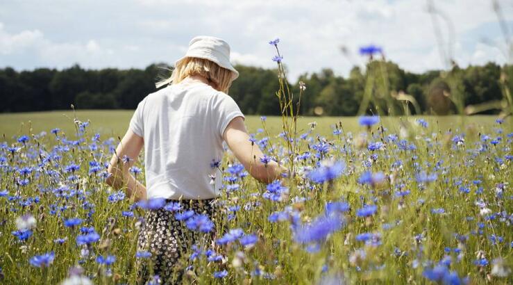 Αστρολογικές προβλέψεις για την Παρασκευή 24 Μαΐου 2024