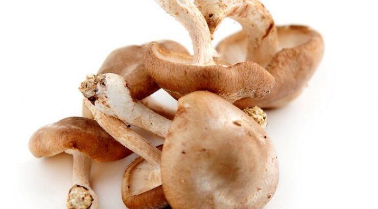 Ethnic γεύσεις: κάνουν καλό