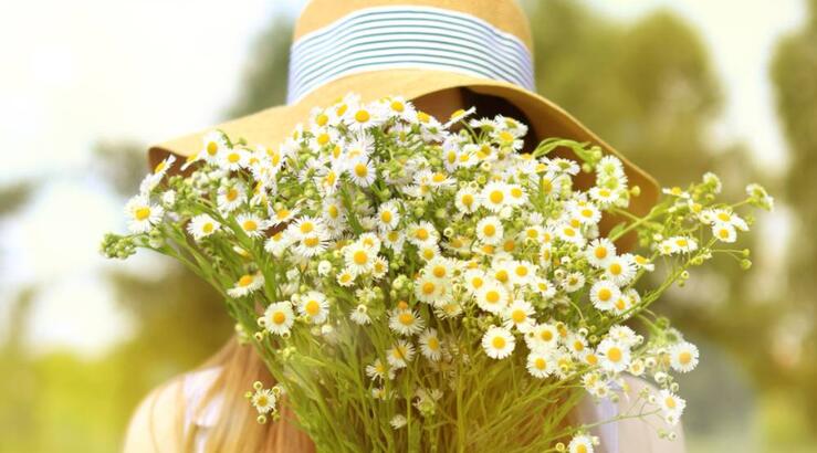 Αστρολογικές προβλέψεις για τη Δευτέρα 29 Απριλίου 2024