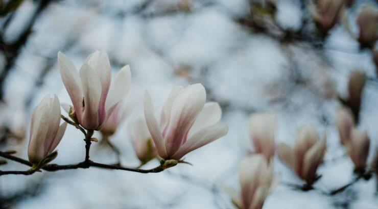 Τι προβλέπουν τα ζώδια για την Παρασκευή 26 Απριλίου 2019;