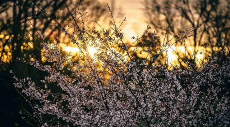 Τι προβλέπουν τα ζώδια για το Σάββατο 27 Απριλίου 2019;
